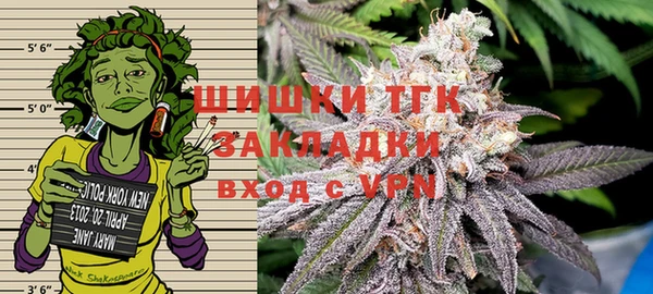 ГАЛЛЮЦИНОГЕННЫЕ ГРИБЫ Аркадак